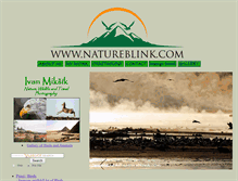 Tablet Screenshot of natureblink.com